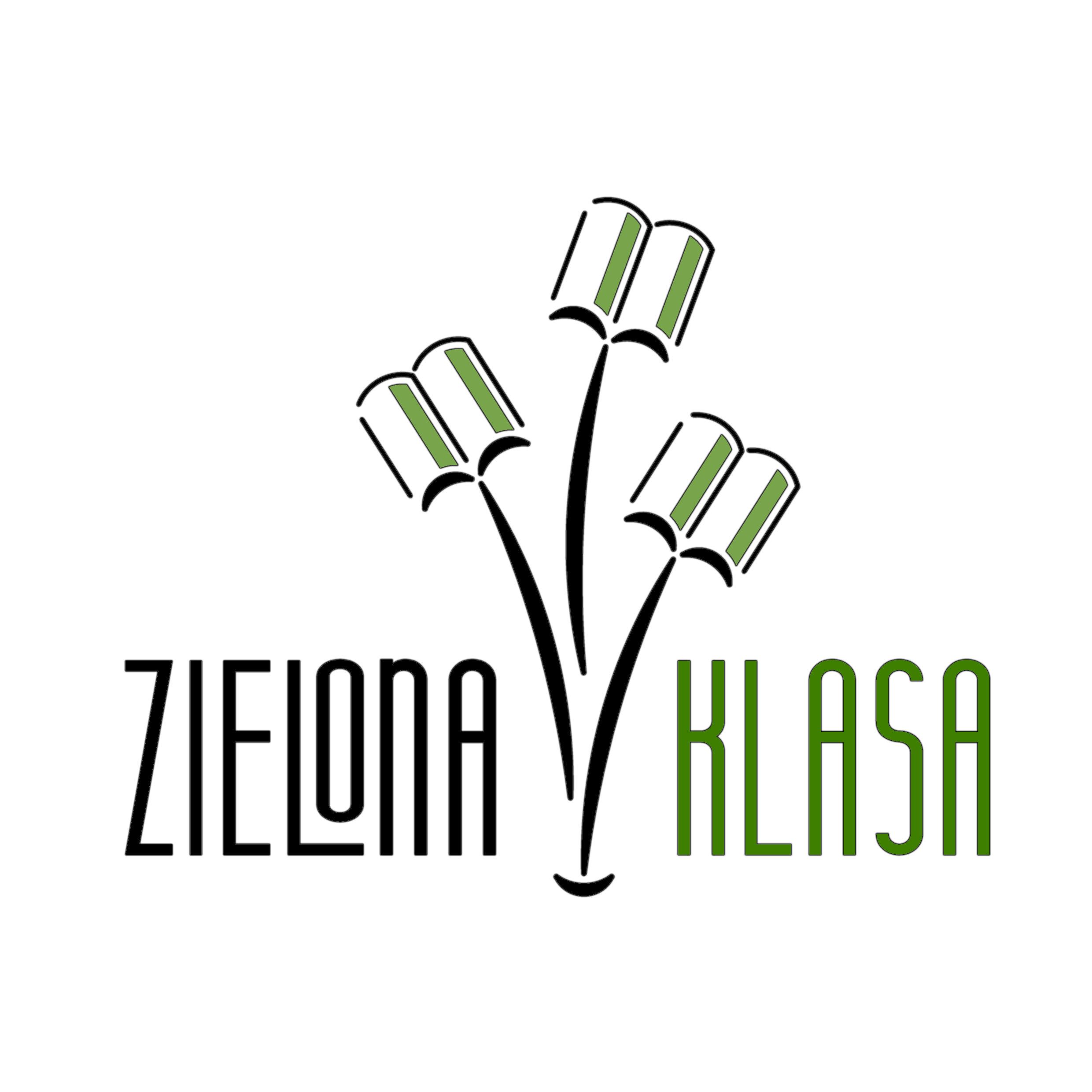 Zielona Klasa